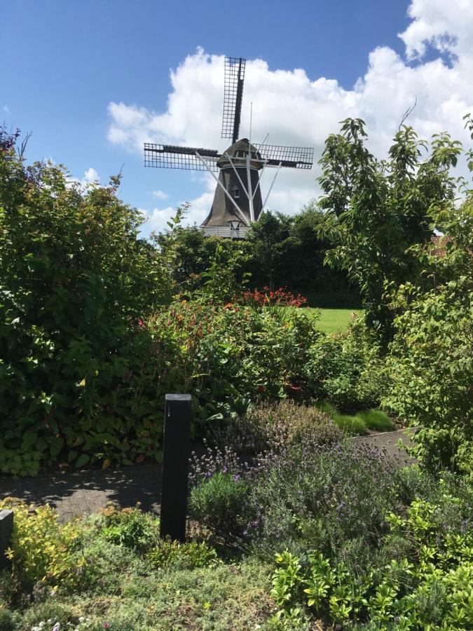 Meeuw Villa Hollum  Exterior foto